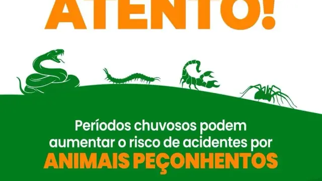 Período Chuvoso: atenção redobrada com animais peçonhentos! 🦂🐸